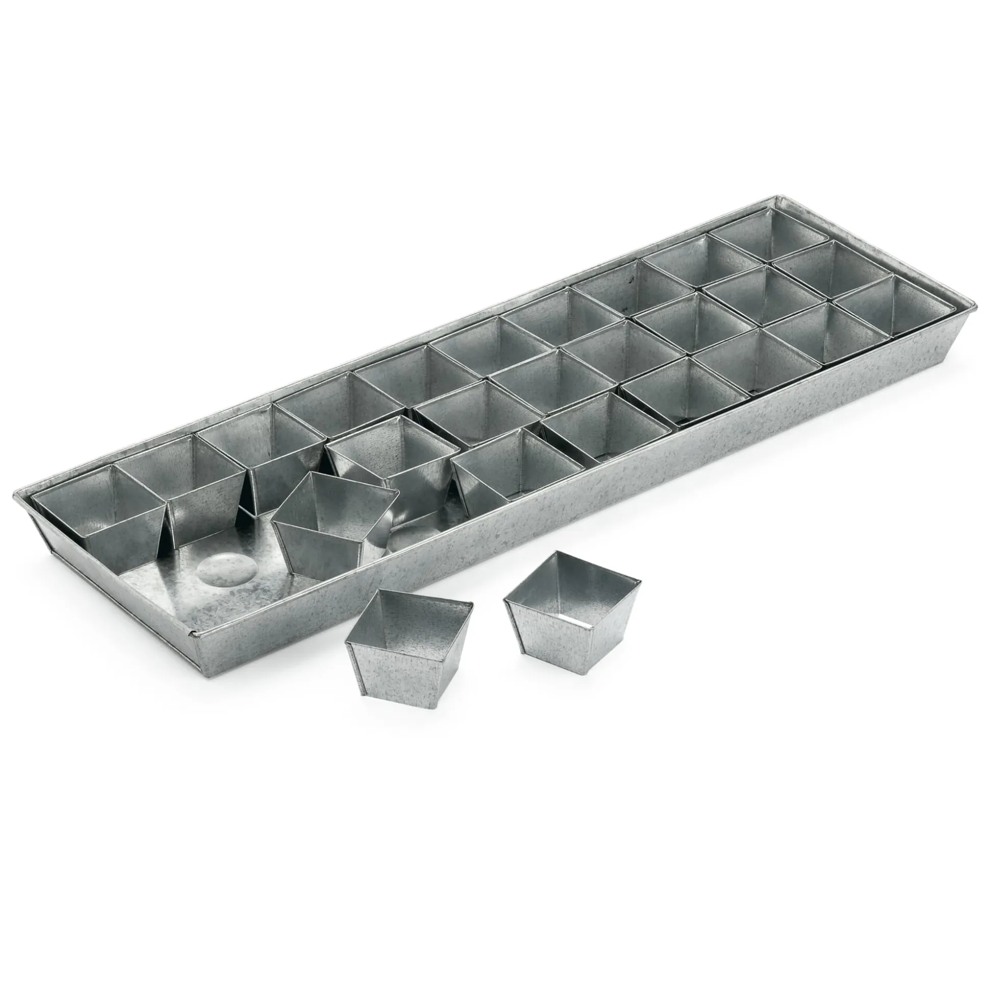 Anzuchtplatte mit Einzeltöpfen