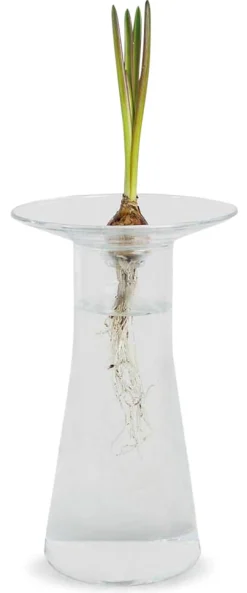 Aufsatz zu Vase Labor