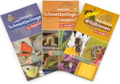 Bestimmungskarten Insekten (3 Stück)
