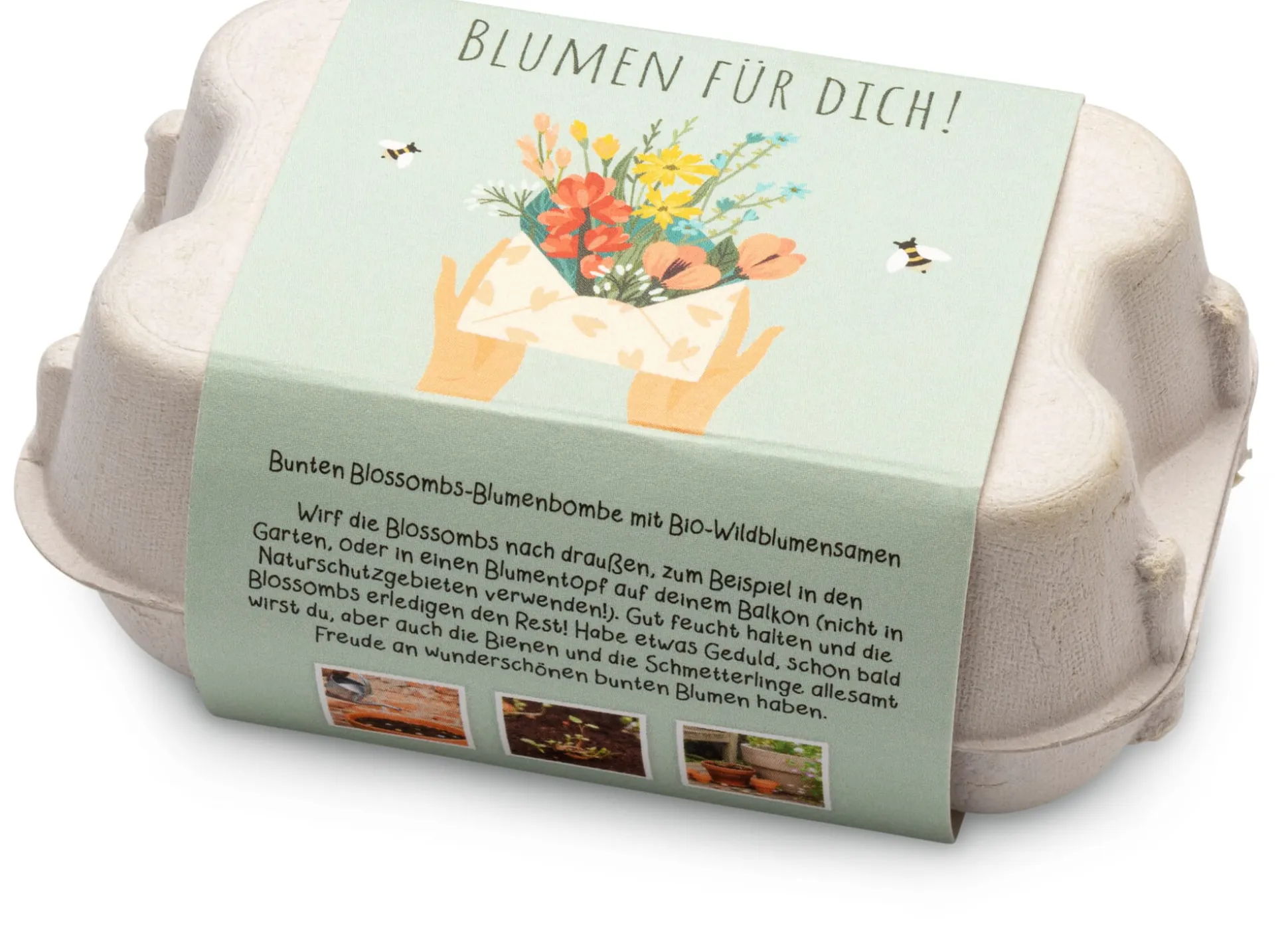 Blumenkugeln im Geschenkkarton