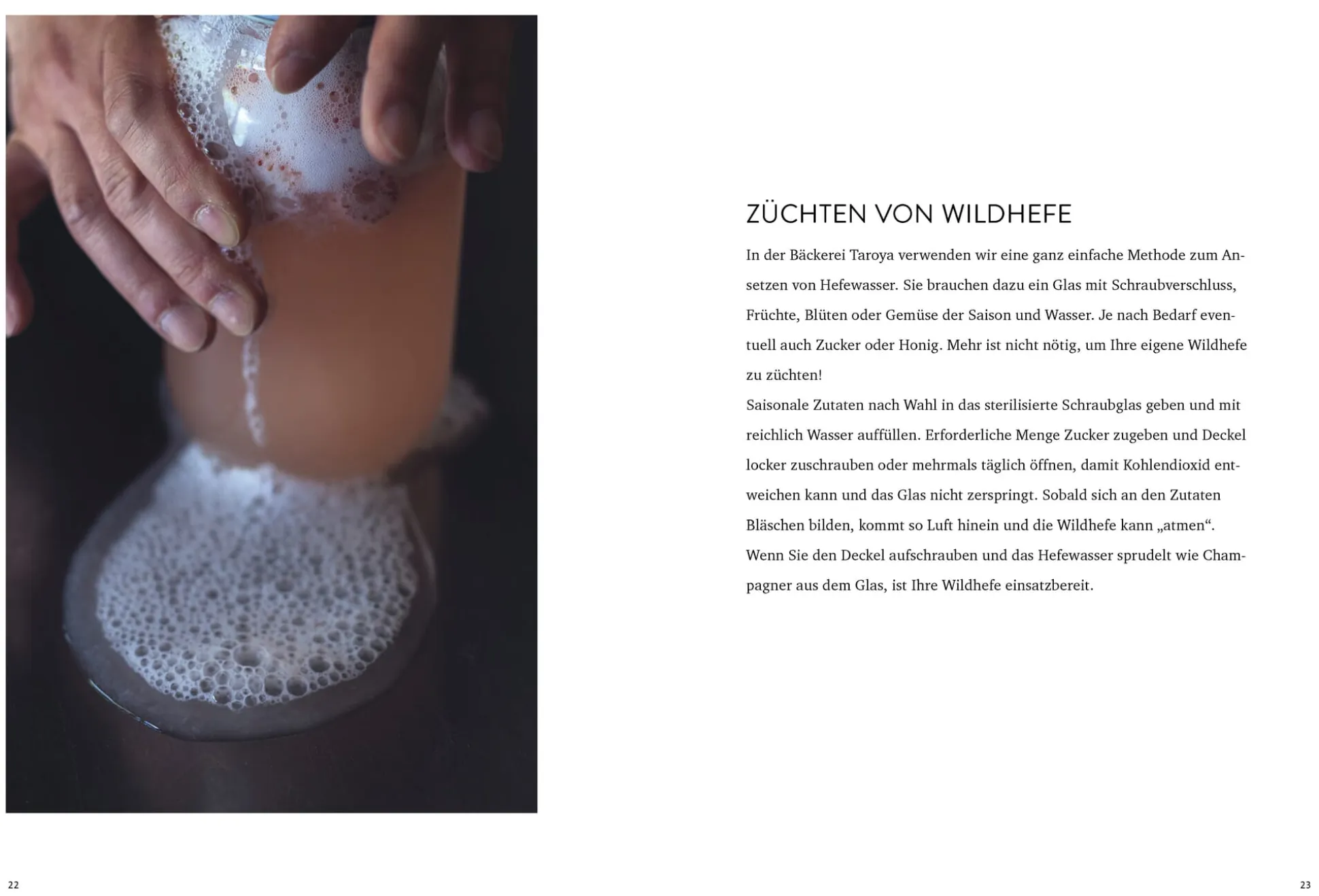 Brot backen mit wilden Hefen