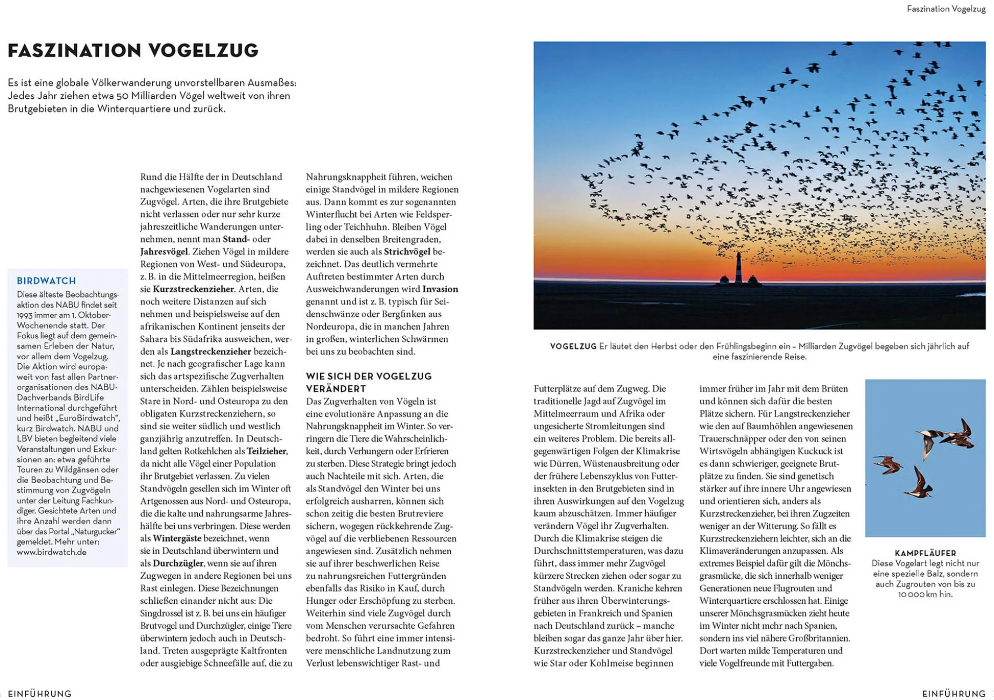 Das NABU-Vogelbuch