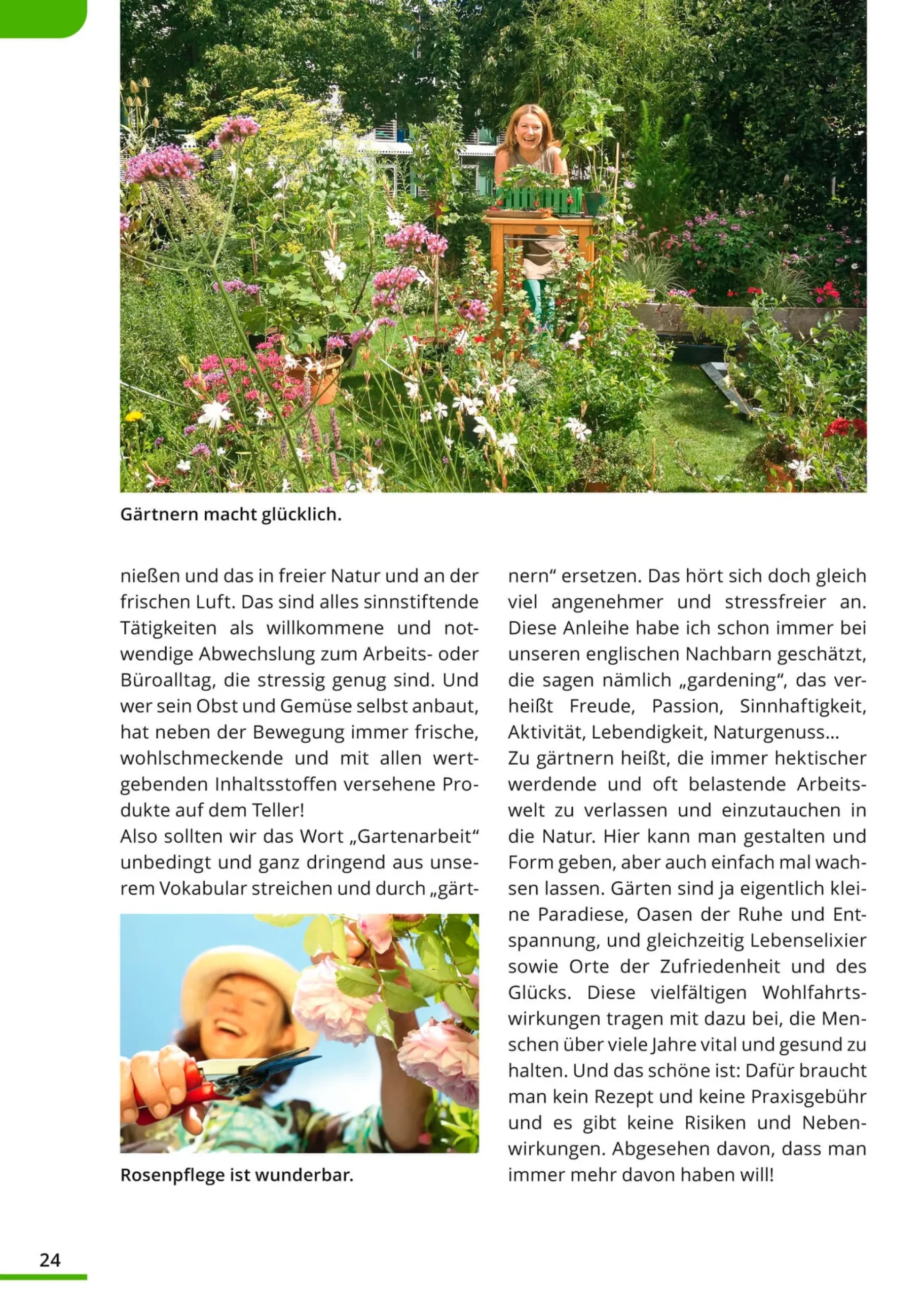 Der klimafreundliche Garten: So geht‘s!