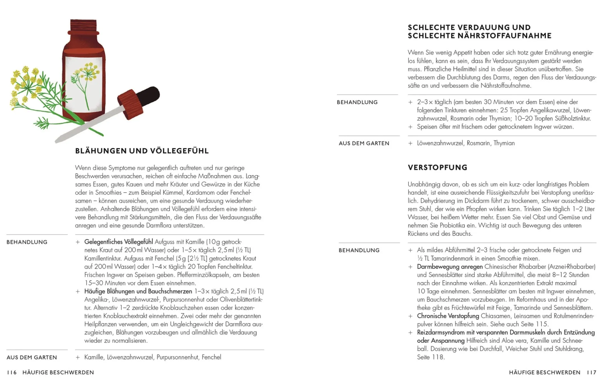 Die pflanzliche Hausapotheke