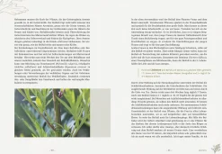 Die wilden Neun