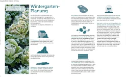 Ernte mich im Winter