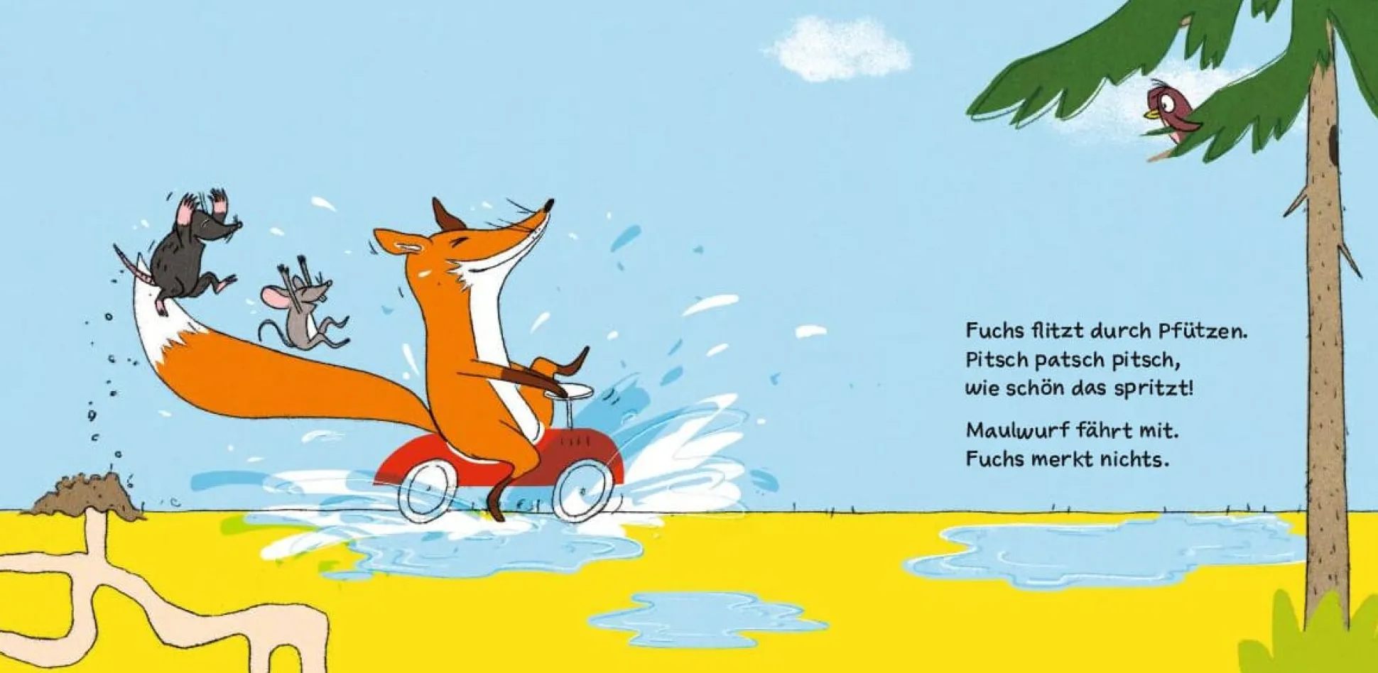 Fuchs fährt Auto
