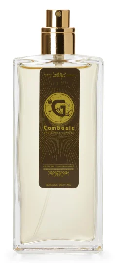 Gaglewski Cambouis