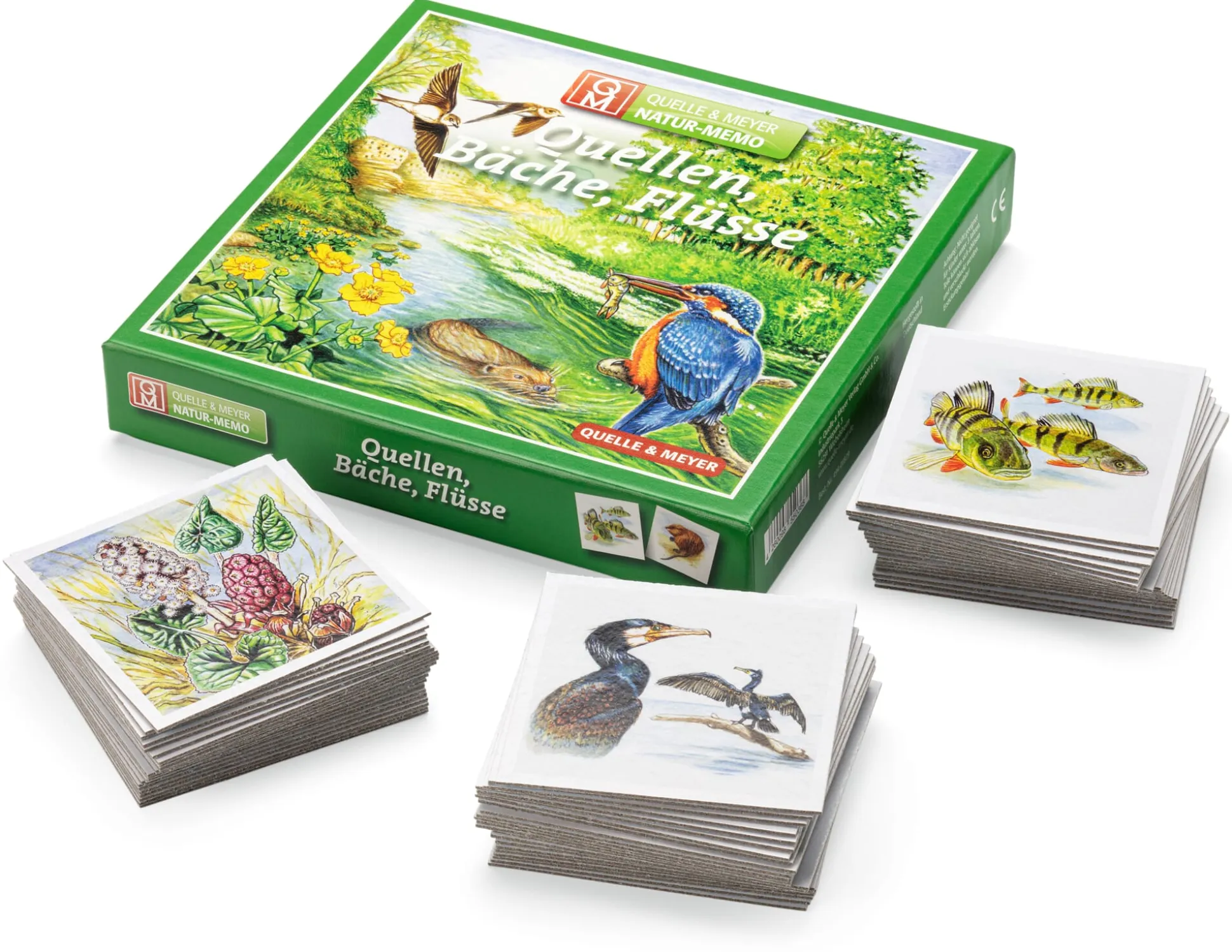 Gedächtnisspiel Natur