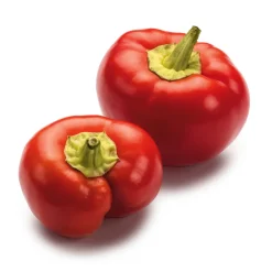 Gemüsesamen Besondere Chilis und Paprika
