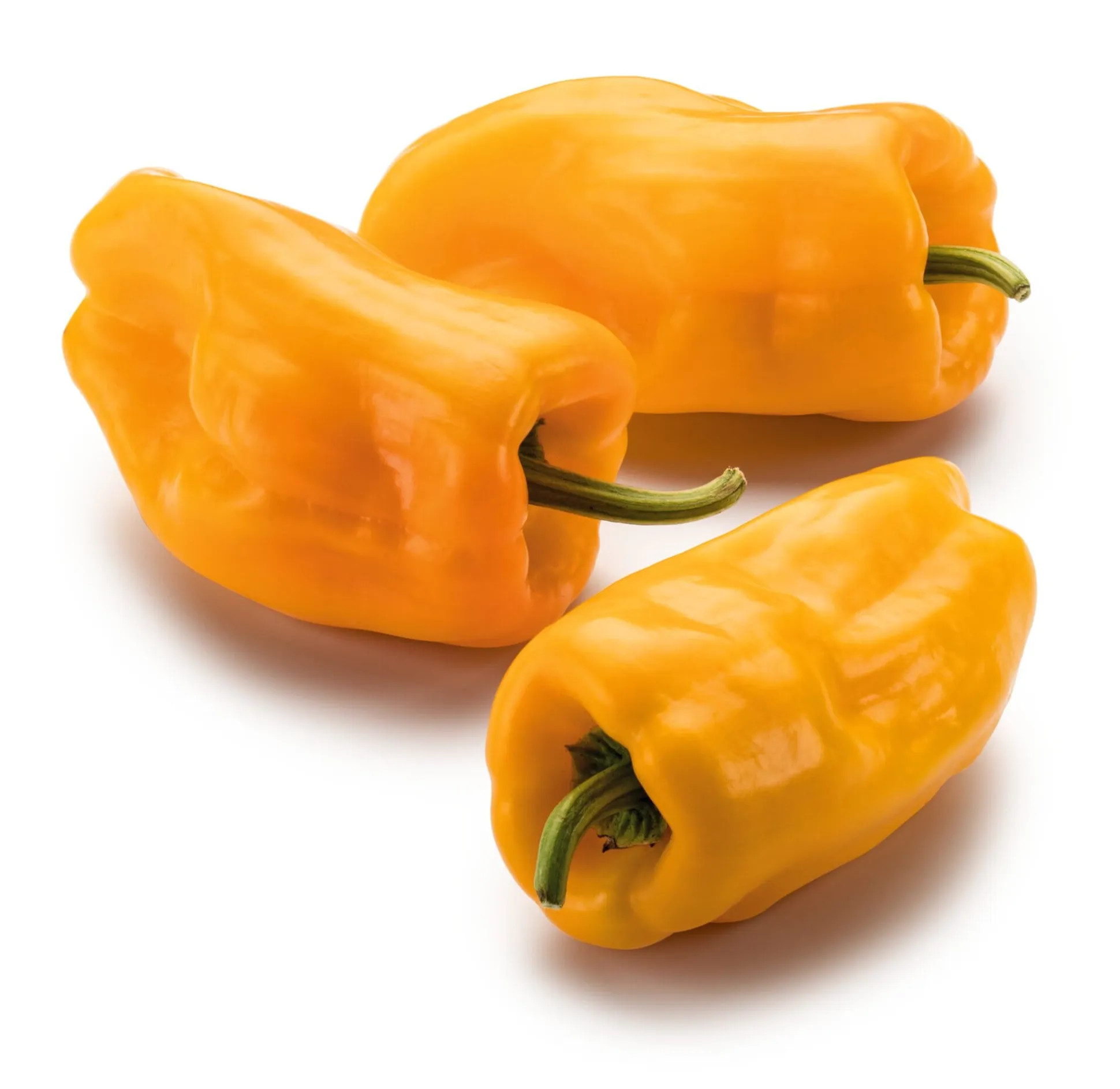 Gemüsesamen Besondere Chilis und Paprika