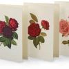 Grußkarte Rosen