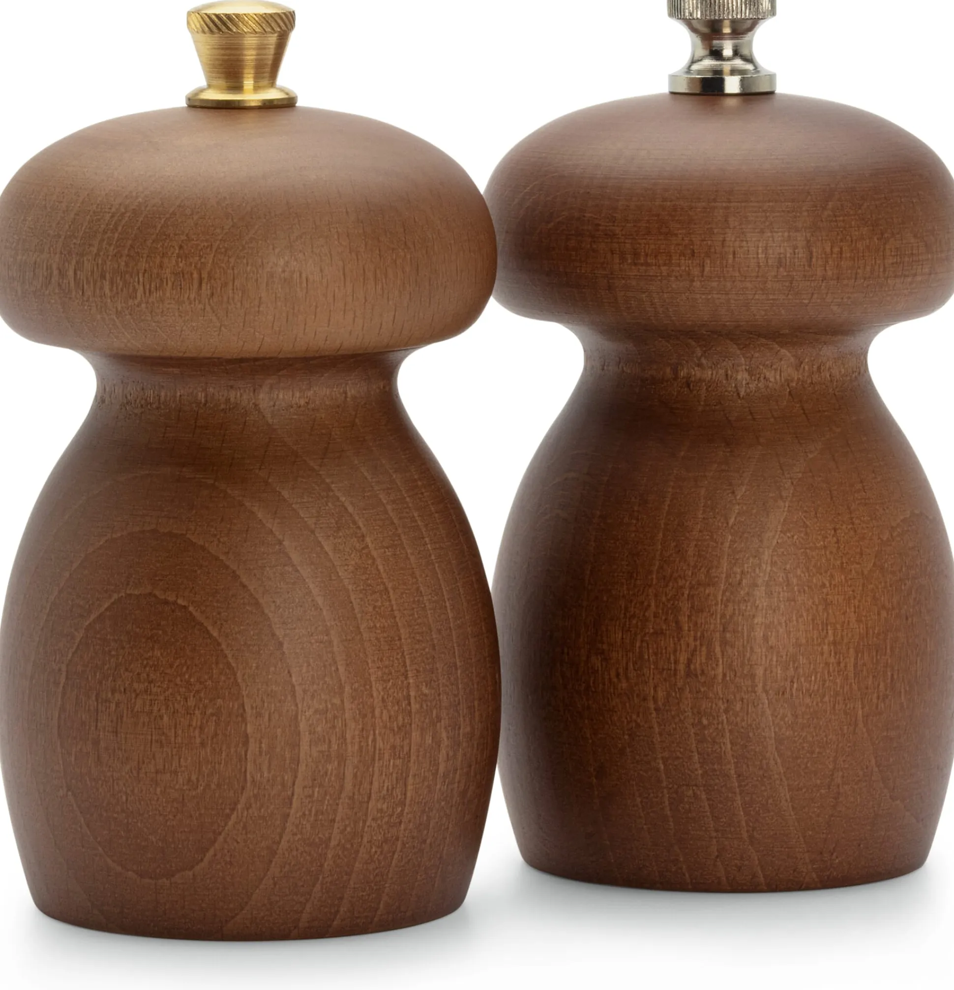 Italienische Gewürzmühle Fungus