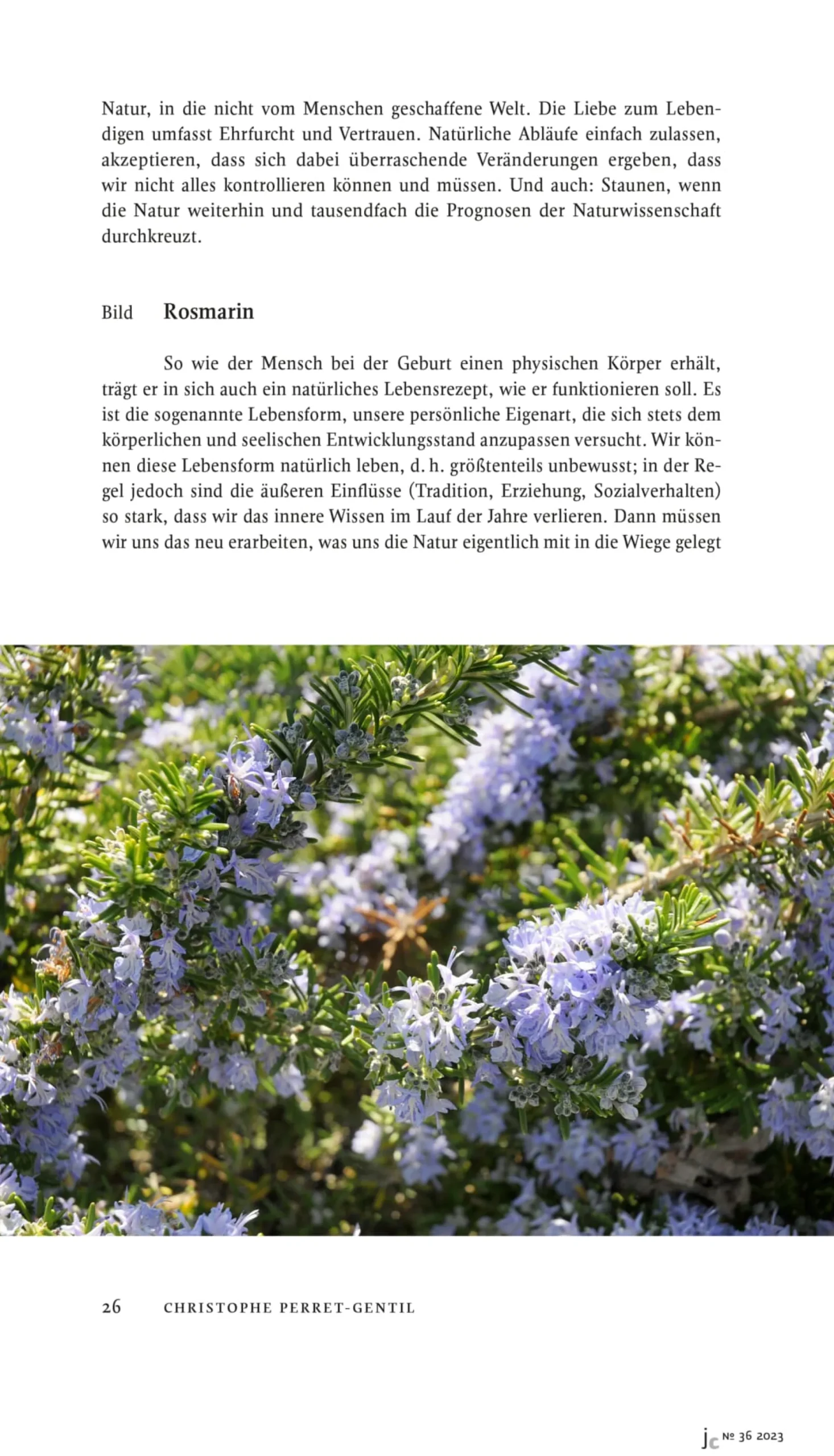 Journal Culinaire