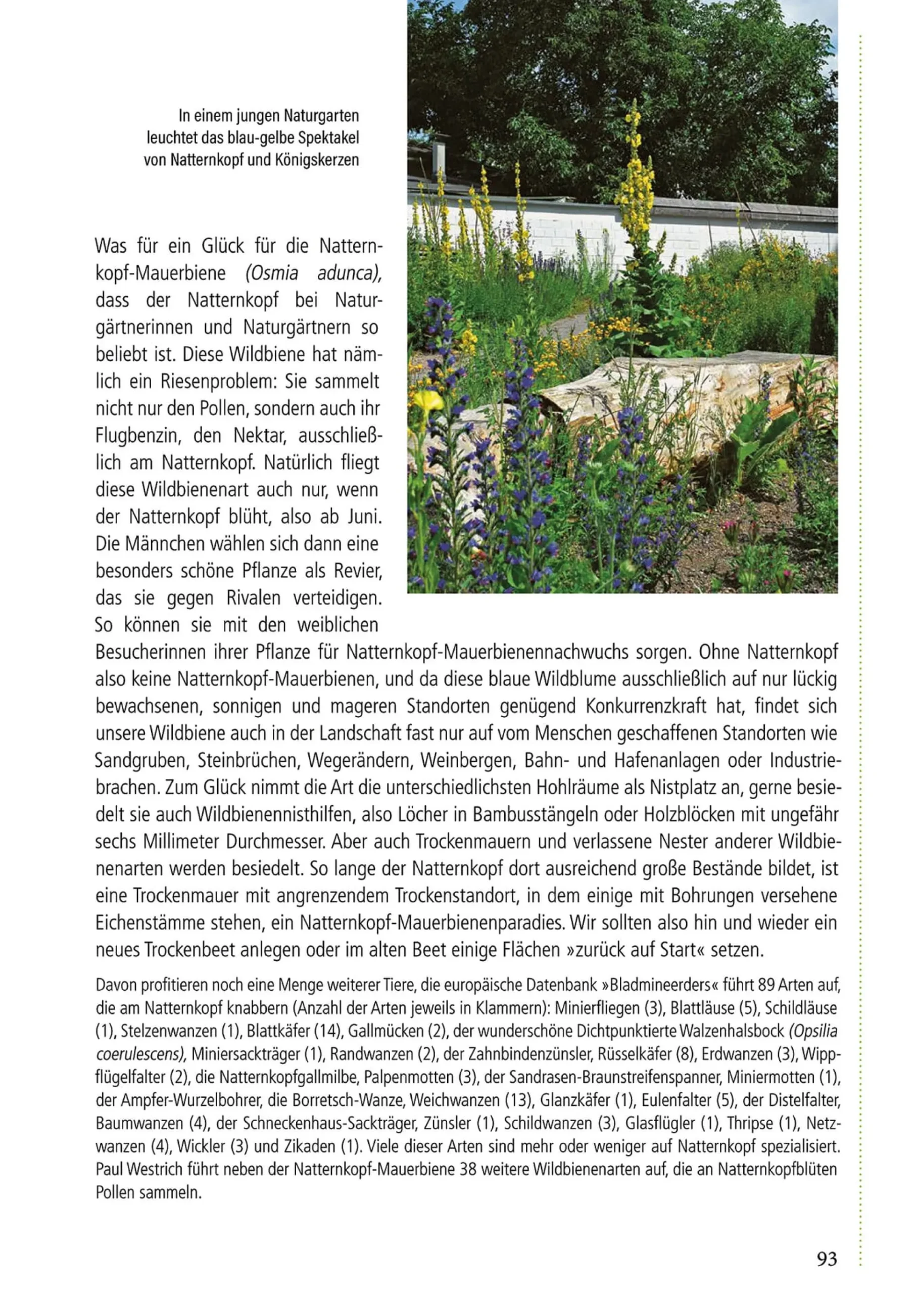 Klimafest und artenreich