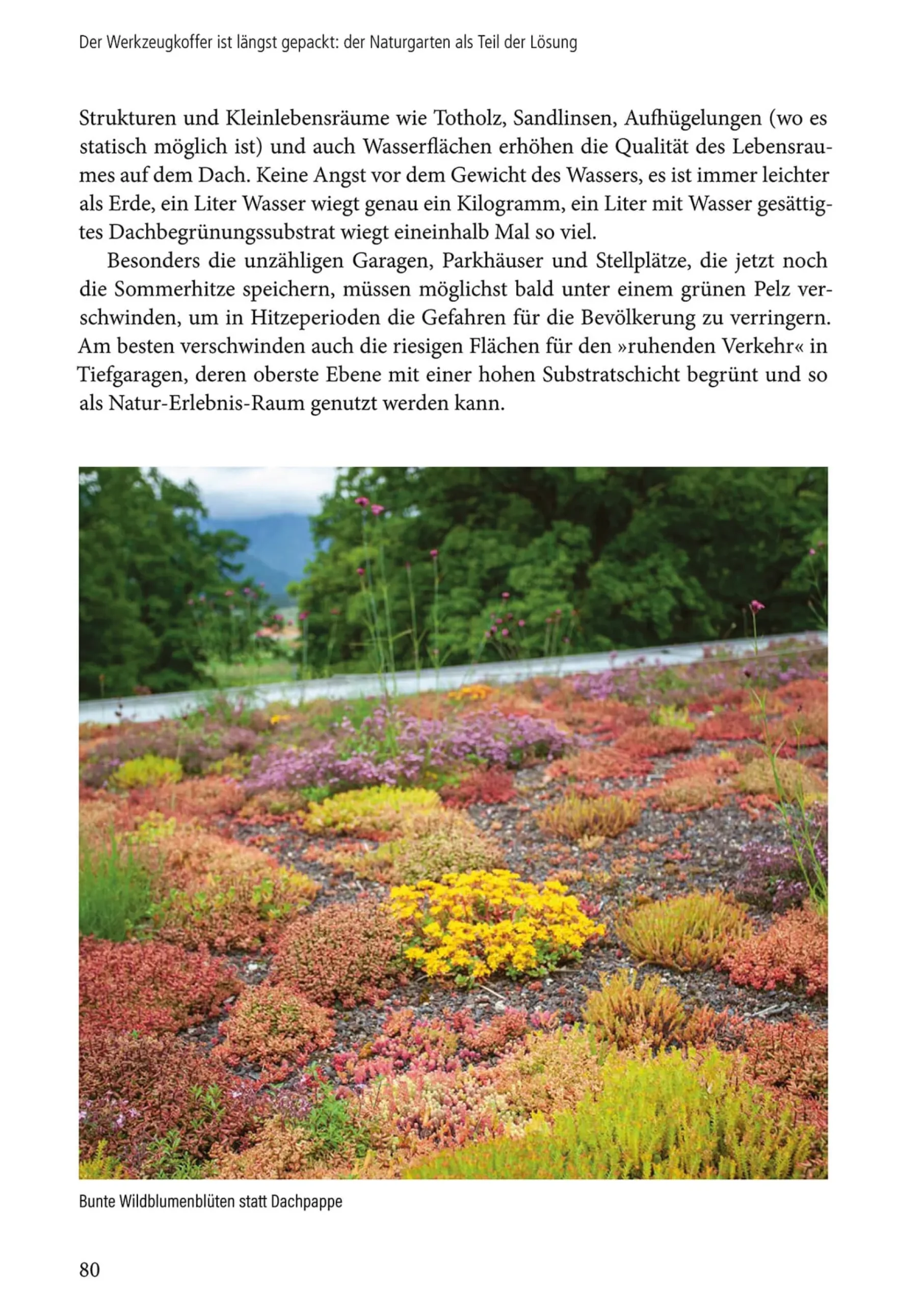 Klimafest und artenreich