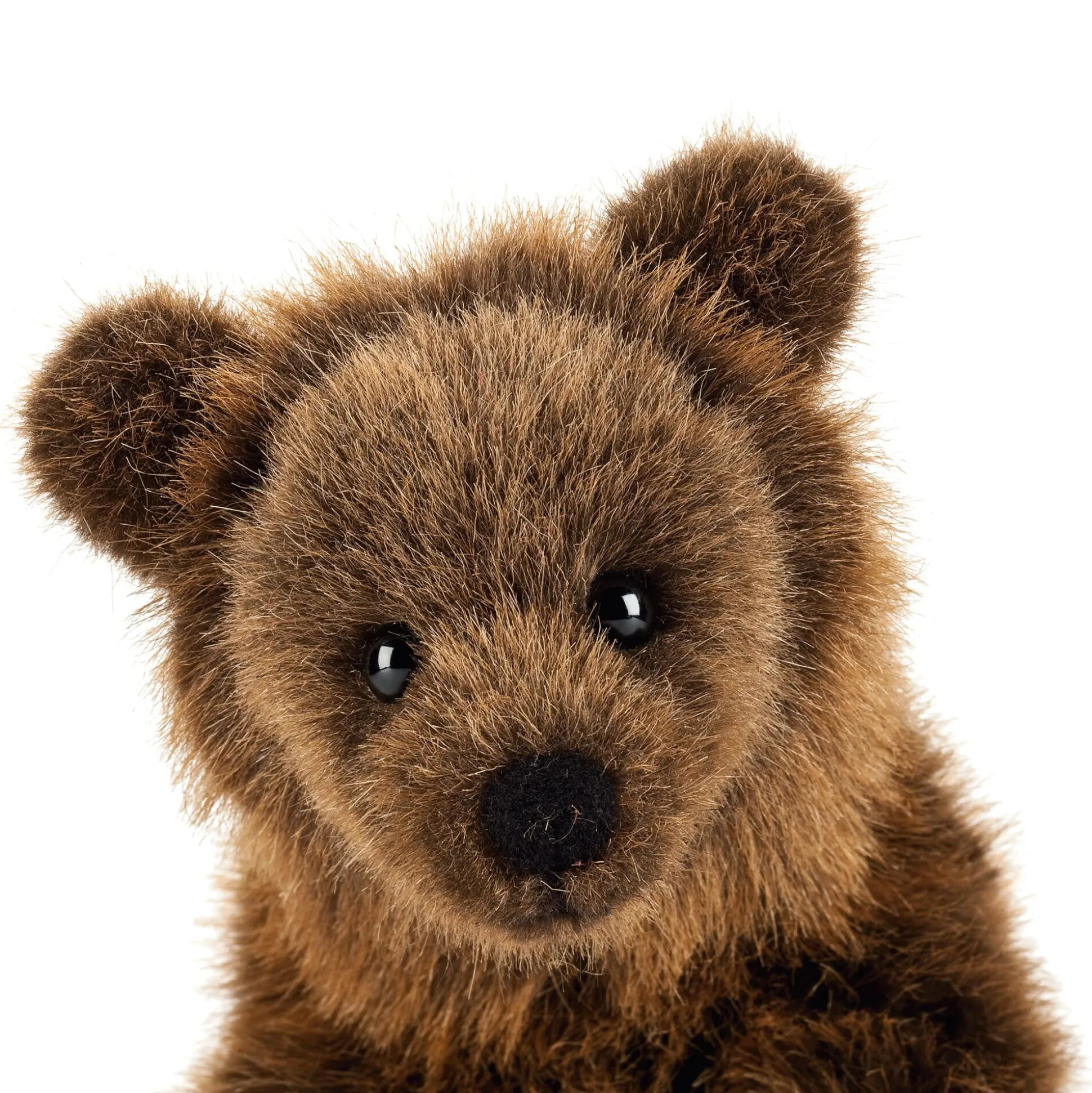 Kösener Braunbär
