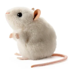 Kösener weiße Maus