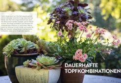 Mein Garten wächst im Topf