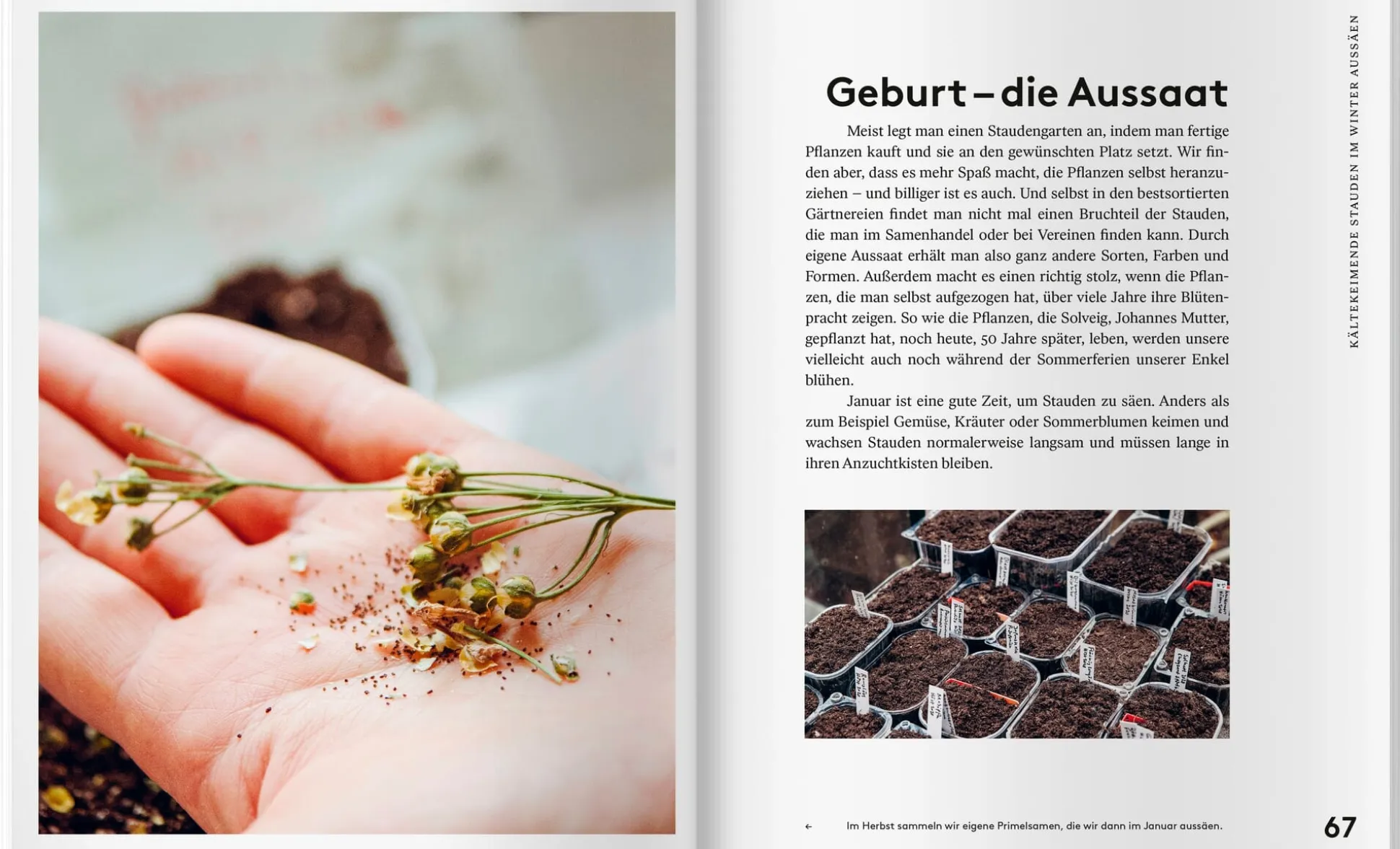 Mit Kaltanbau zu grünen Wundern