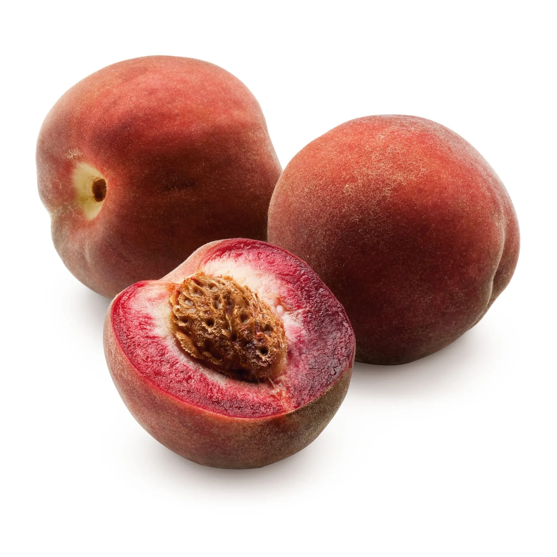 Obstgehölz 'Roter Weinbergpfirsich'