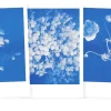 Postkarten-Set Riso