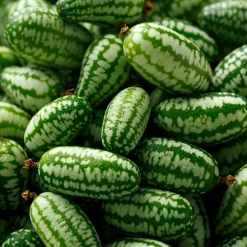 Saatgut Gemüse und Blumen für Kinder