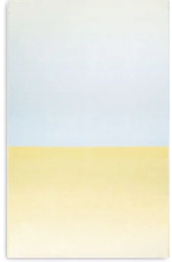 Schurwolldecke Gradient