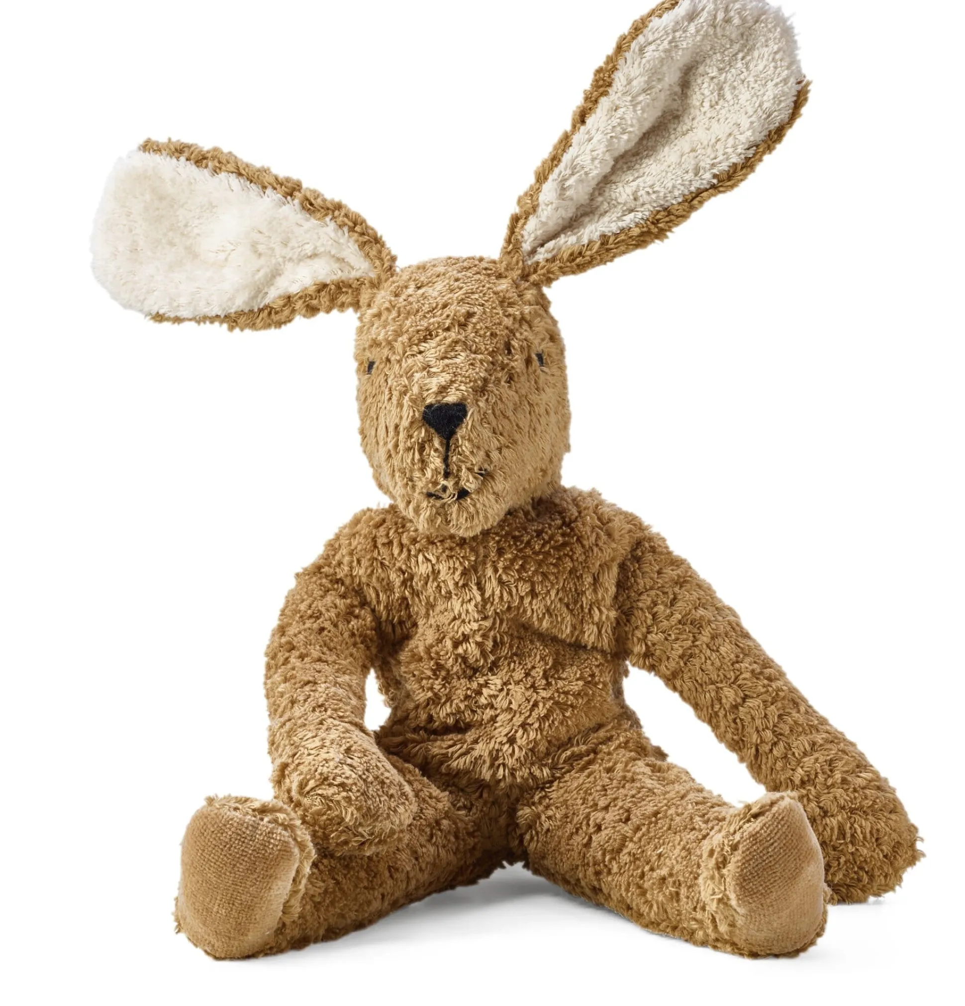 Senger Hase groß