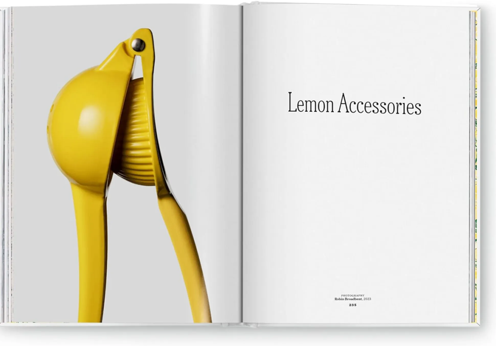 The Gourmand's Lemon