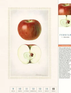 Thorbecke Apfel-Kalender 2026