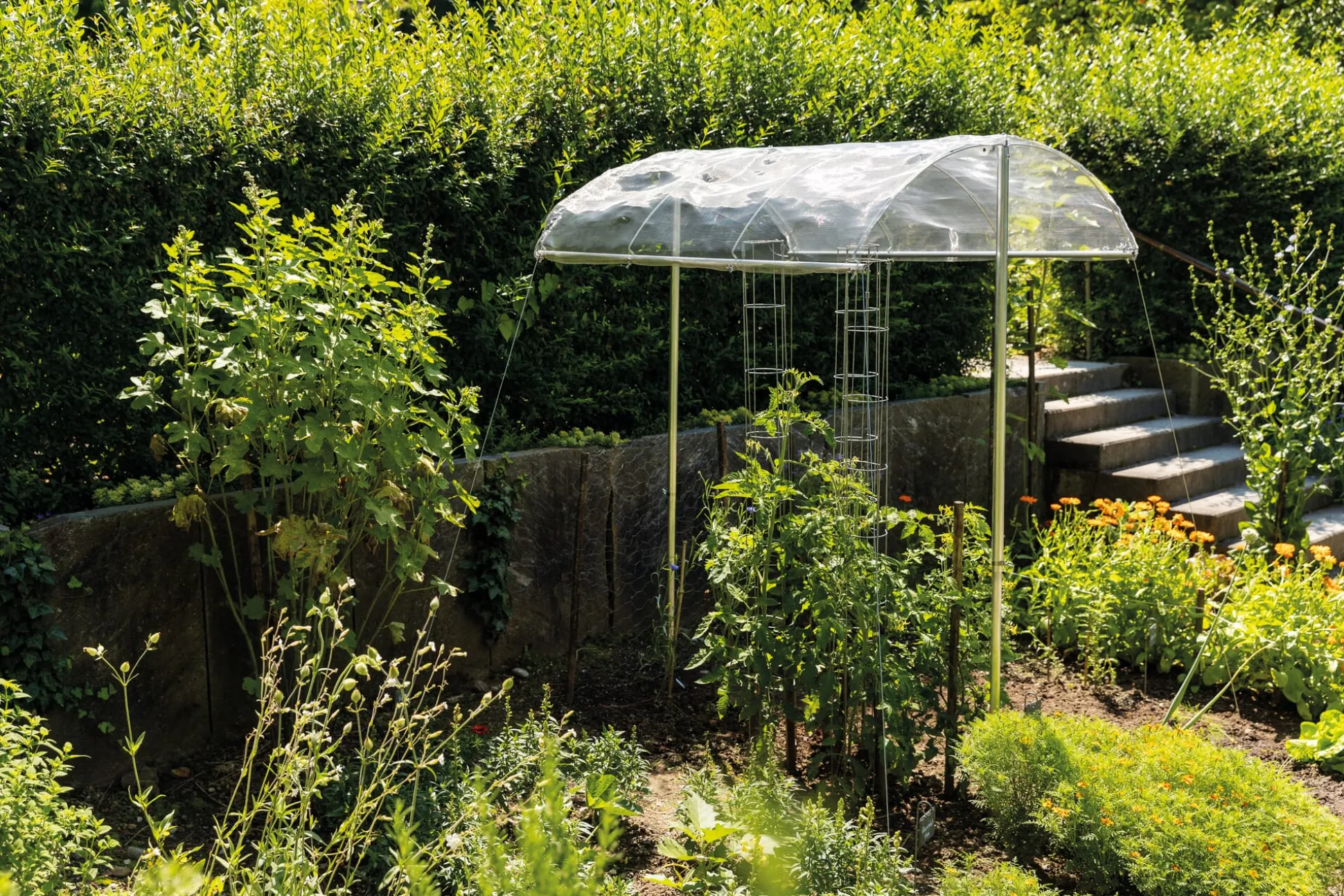 Tomatendach Aluminiumgestell