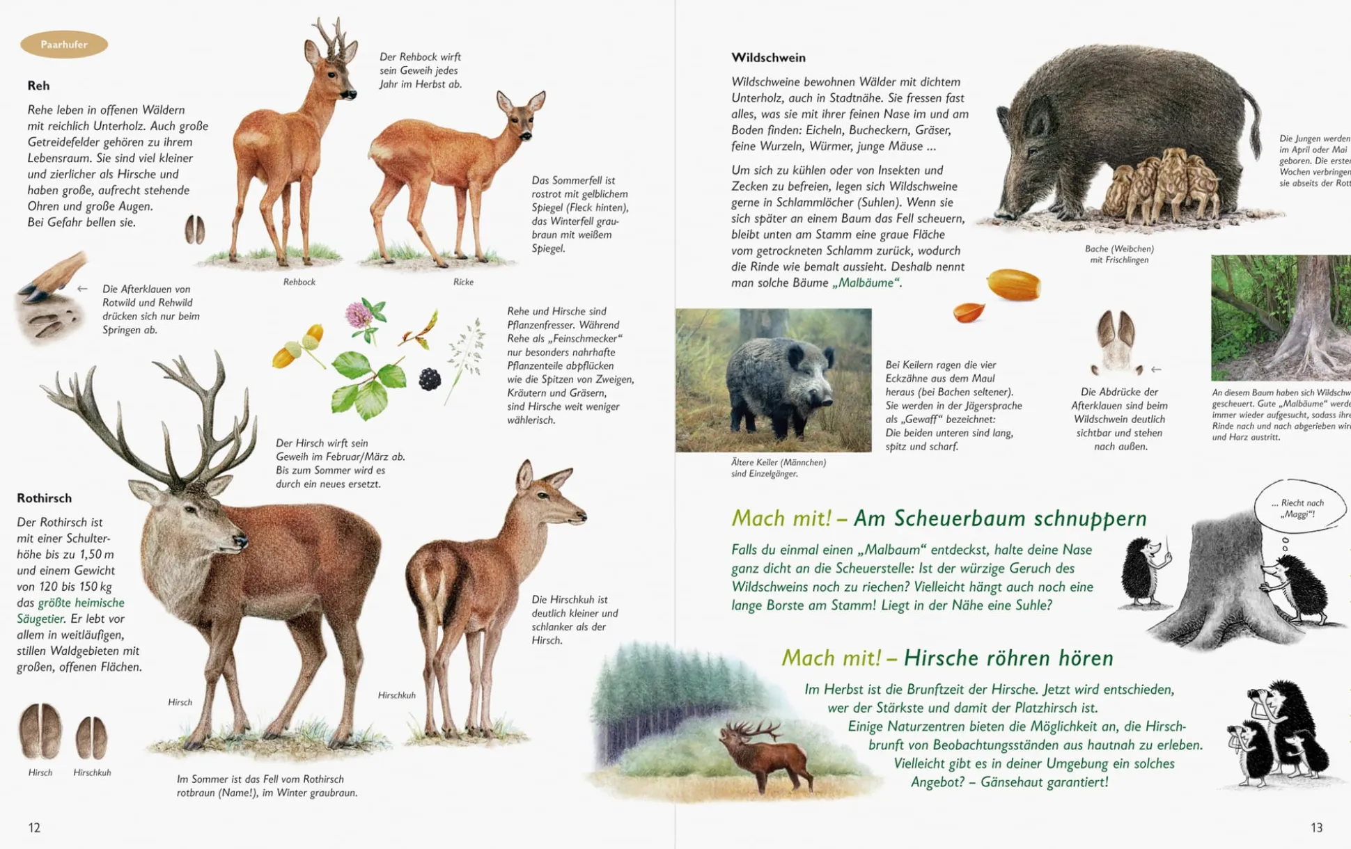 Unserer Natur auf der Spur