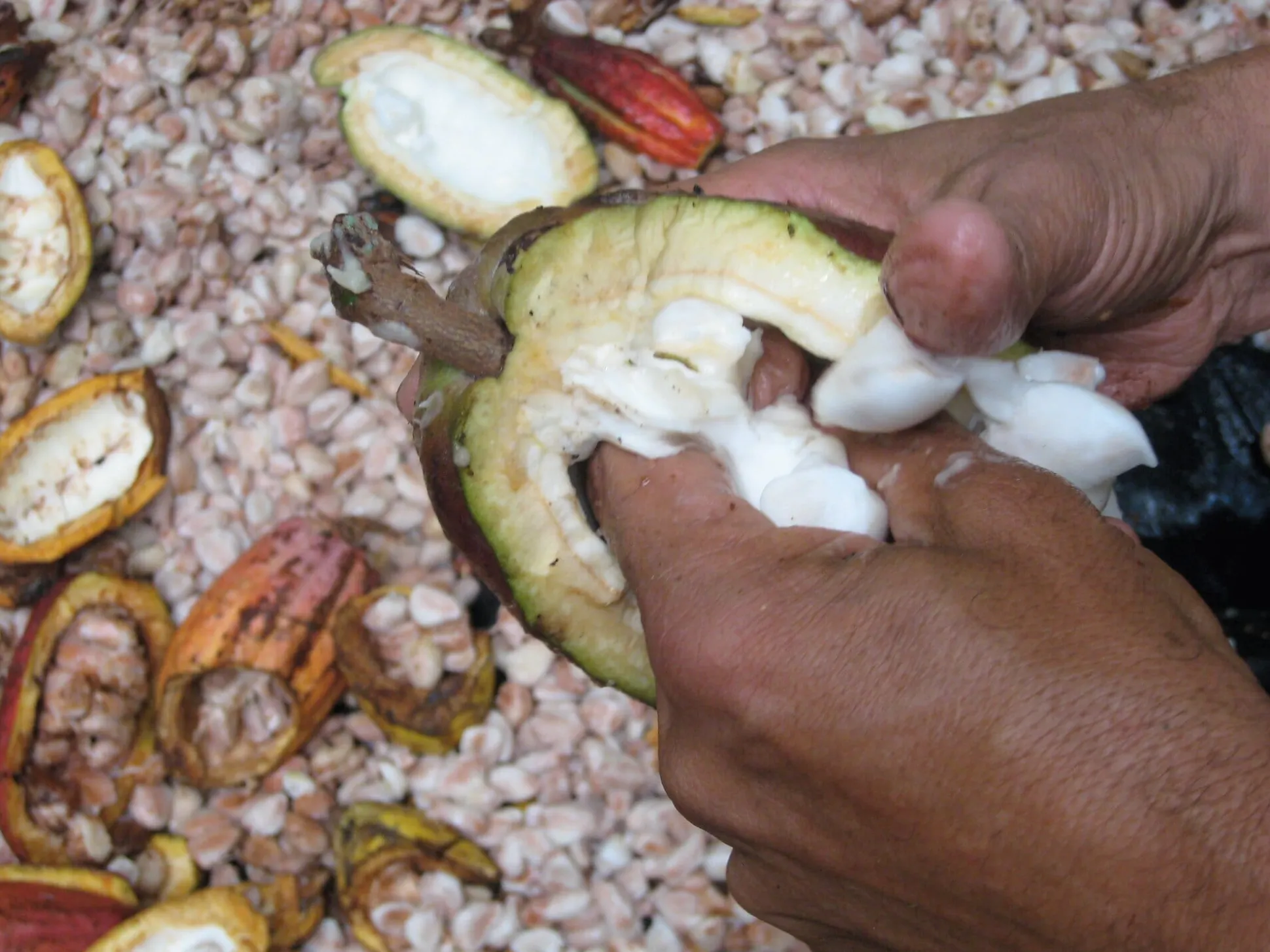 Venezuelan Rio Caribe 72% Schokolade