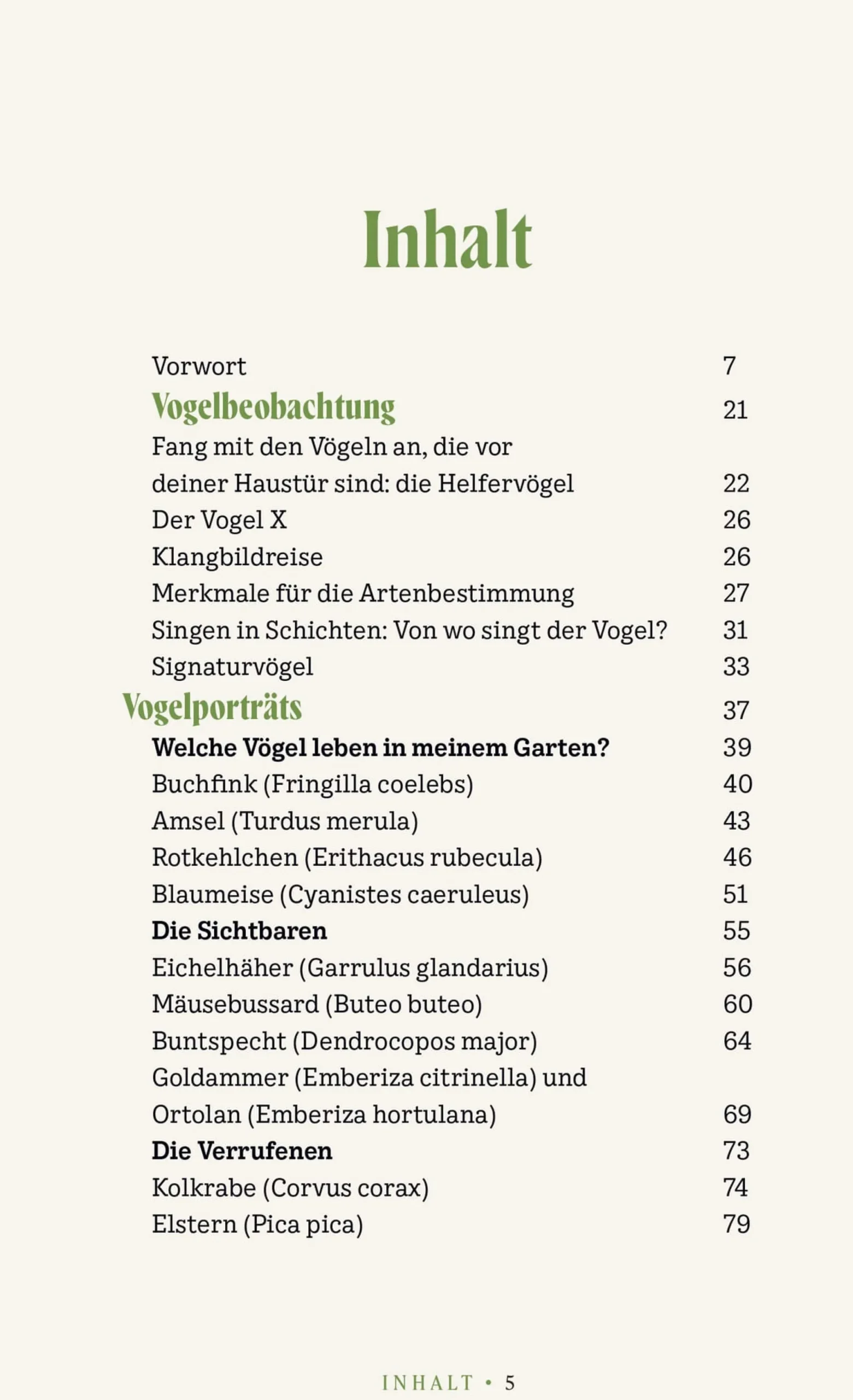 Vögel verstehen