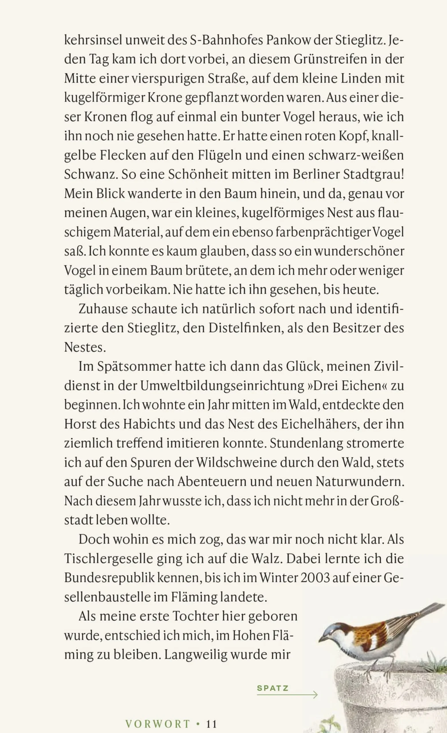 Vögel verstehen