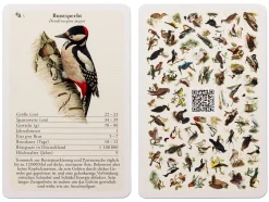 Vogelquartett mit Vogelstimmen