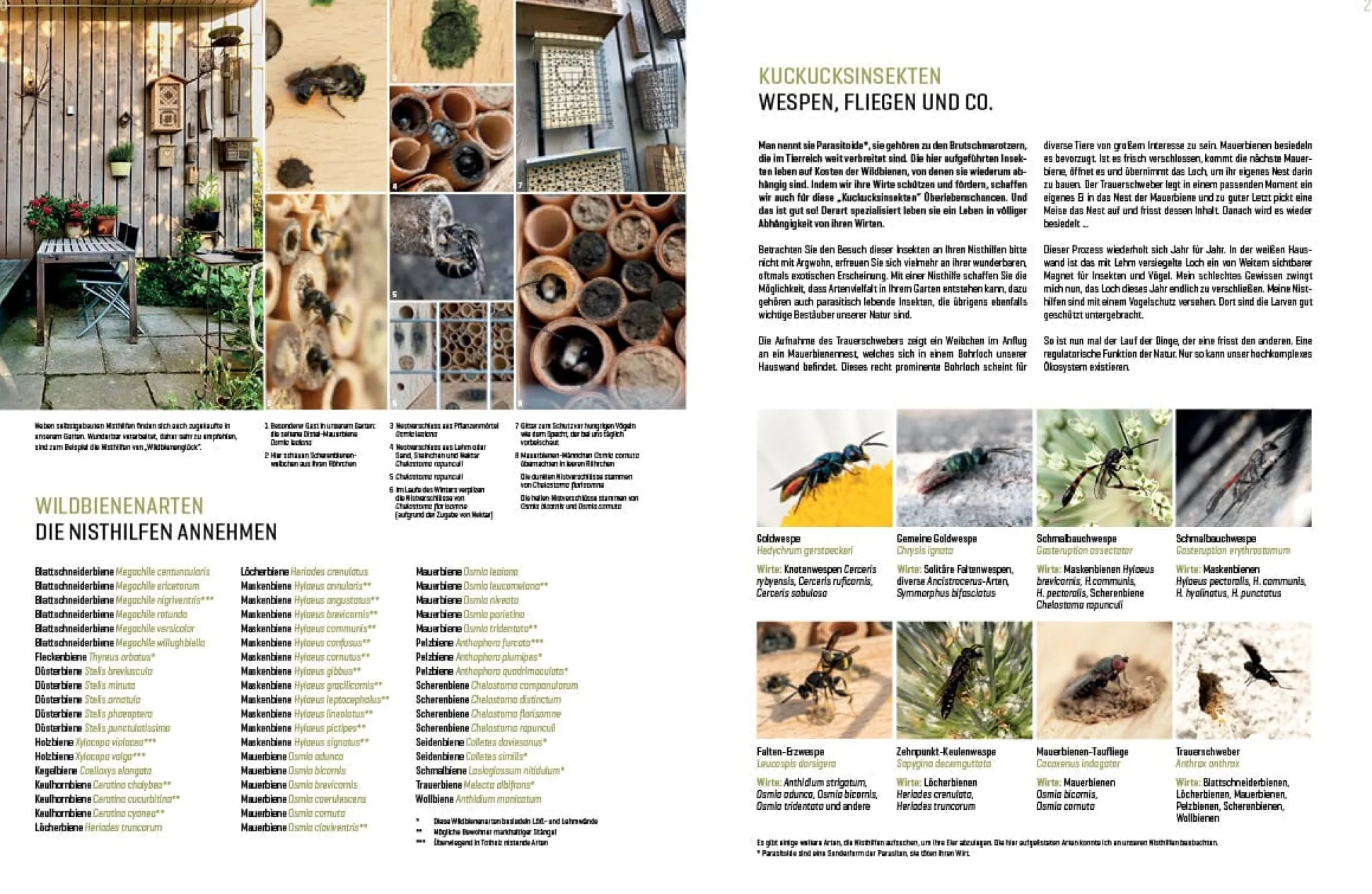 Wildbienenhelfer