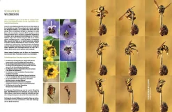 Wildbienenhelfer