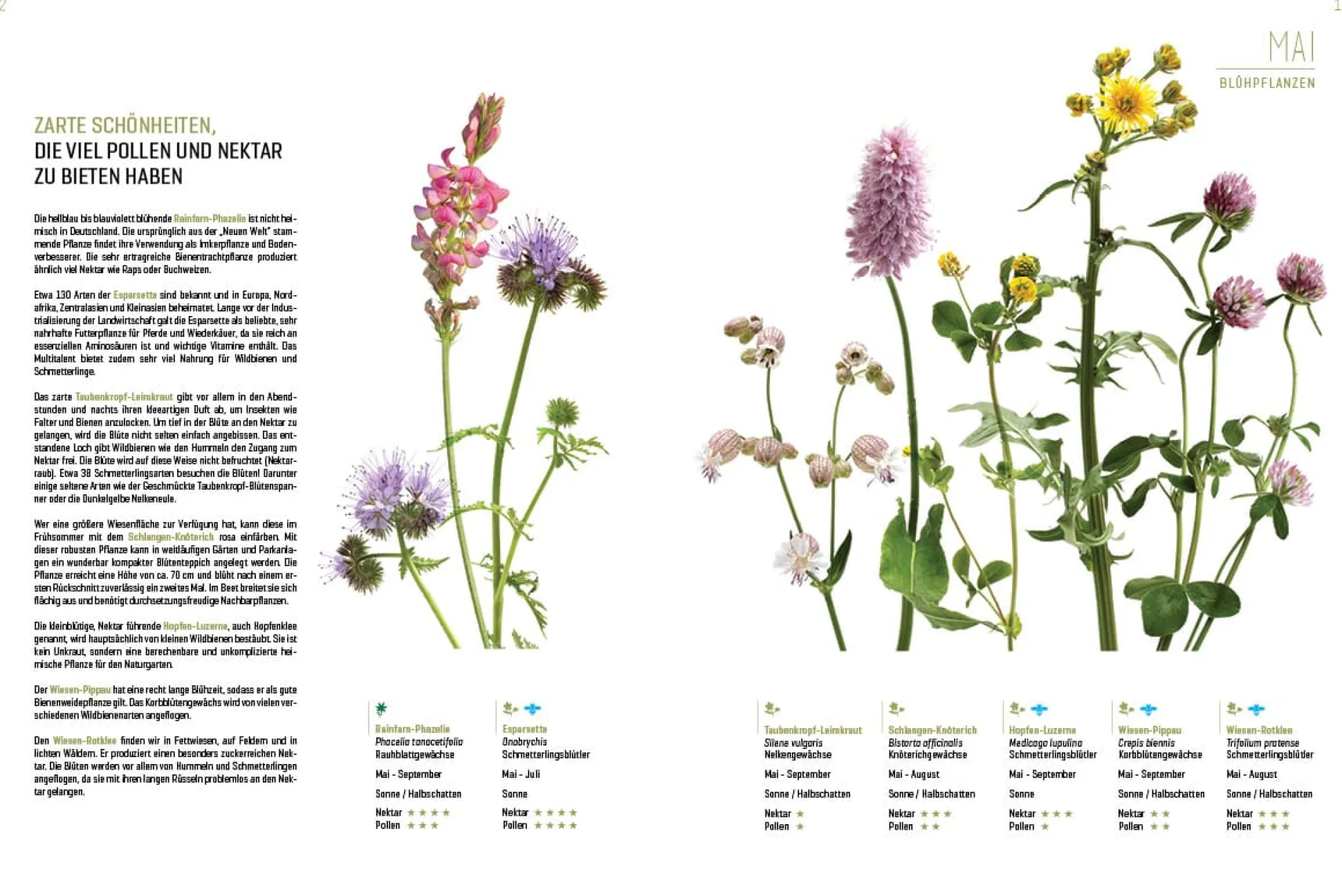 Wildbienenhelfer