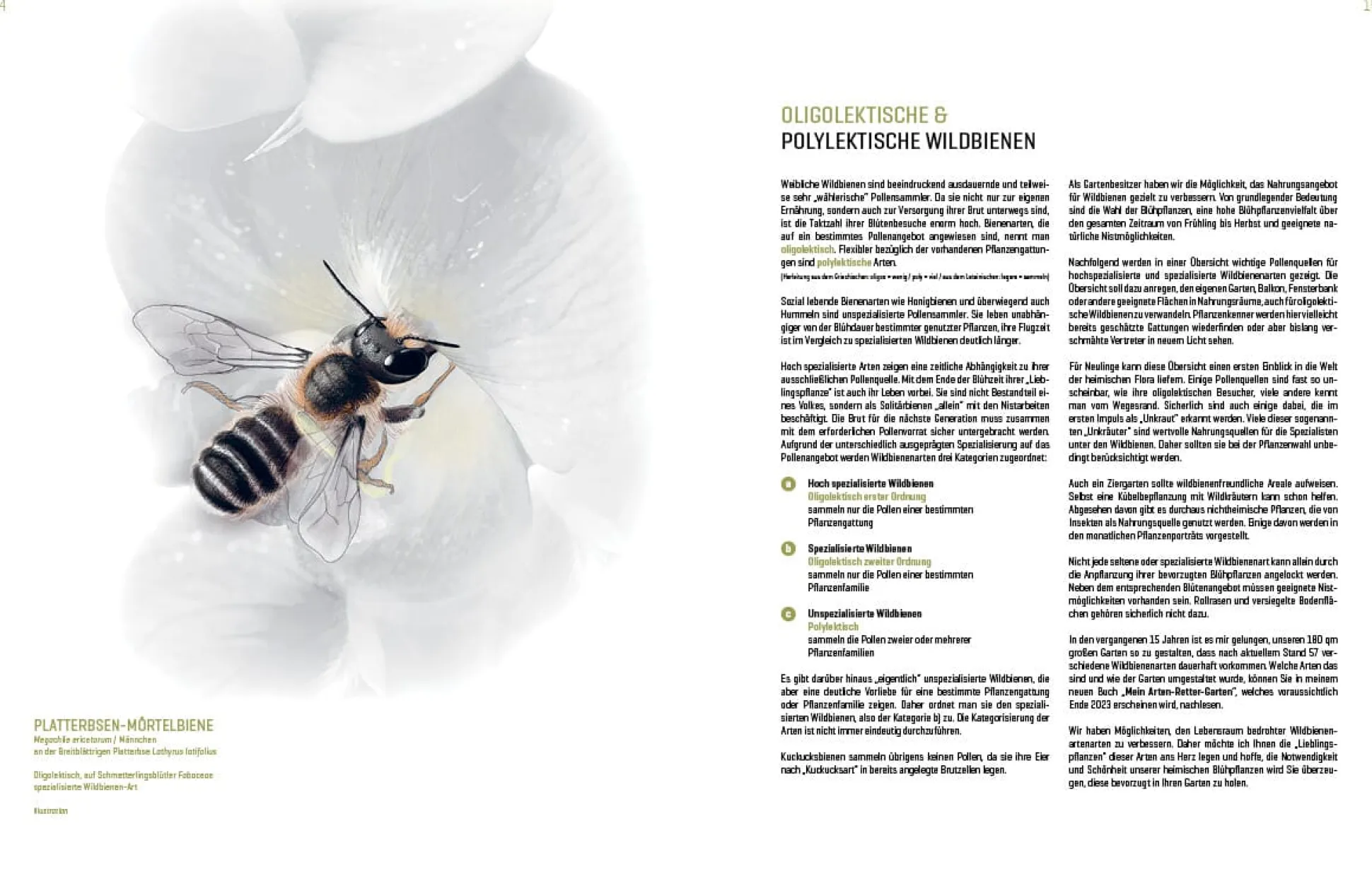 Wildbienenhelfer