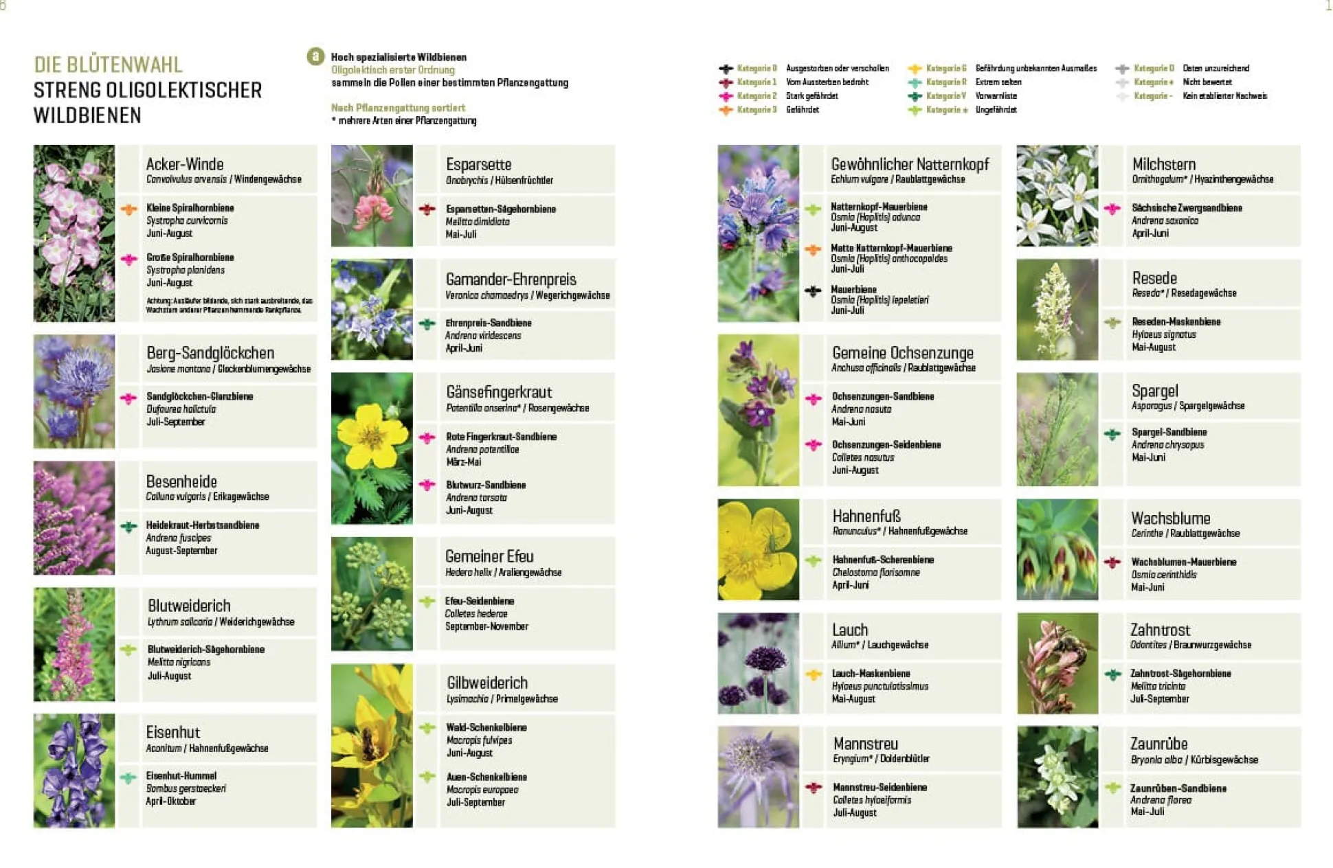 Wildbienenhelfer