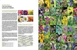 Wildbienenhelfer