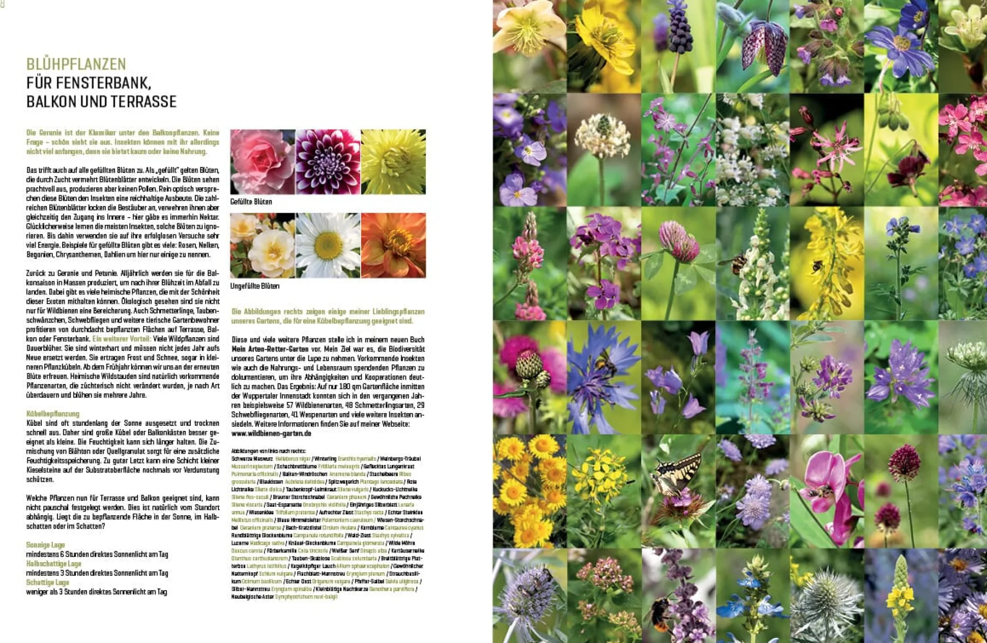 Wildbienenhelfer