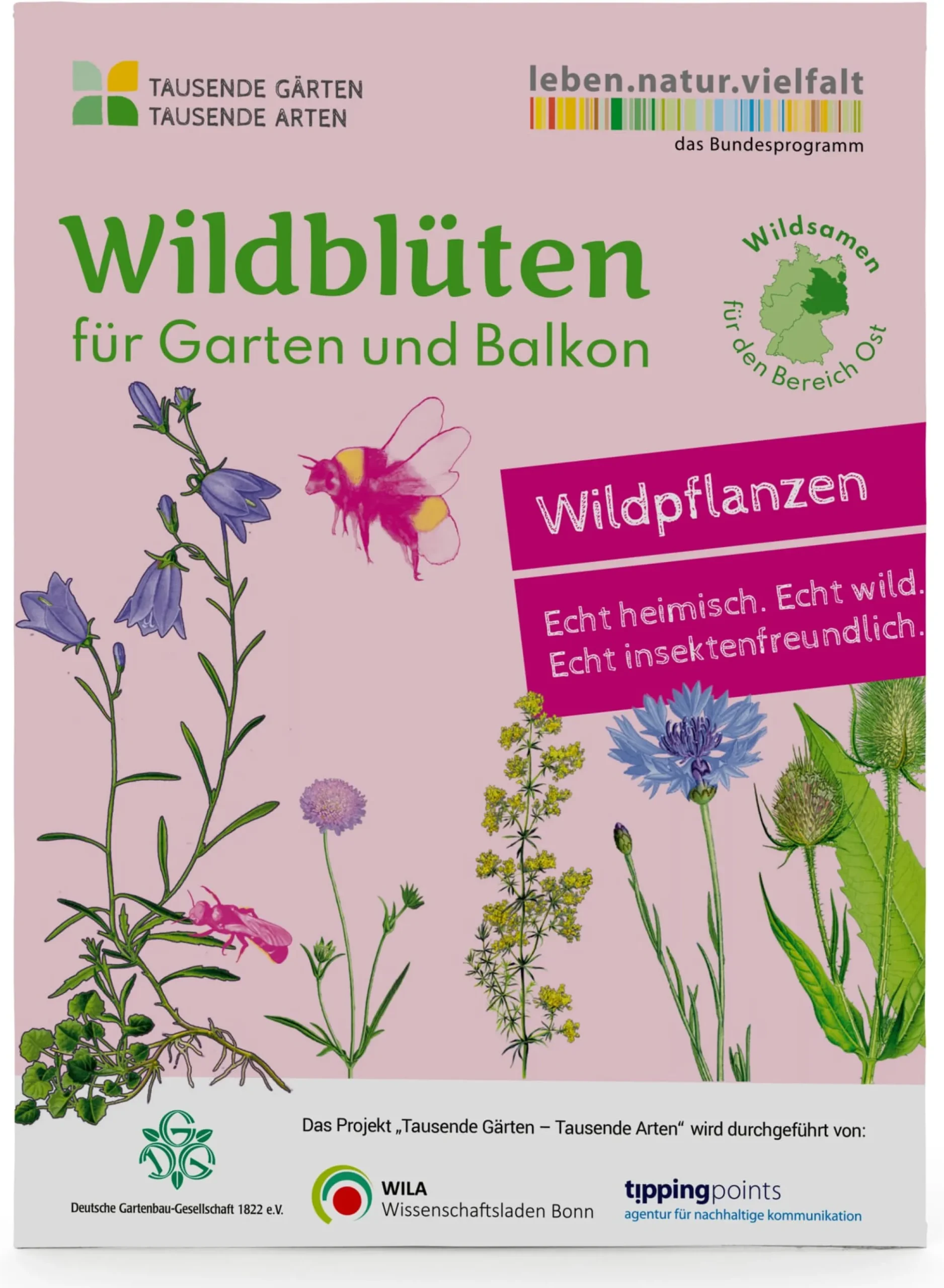 Wildblumen für Balkon und Garten gebietsheimisch