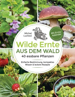 Wilde Ernte aus dem Wald