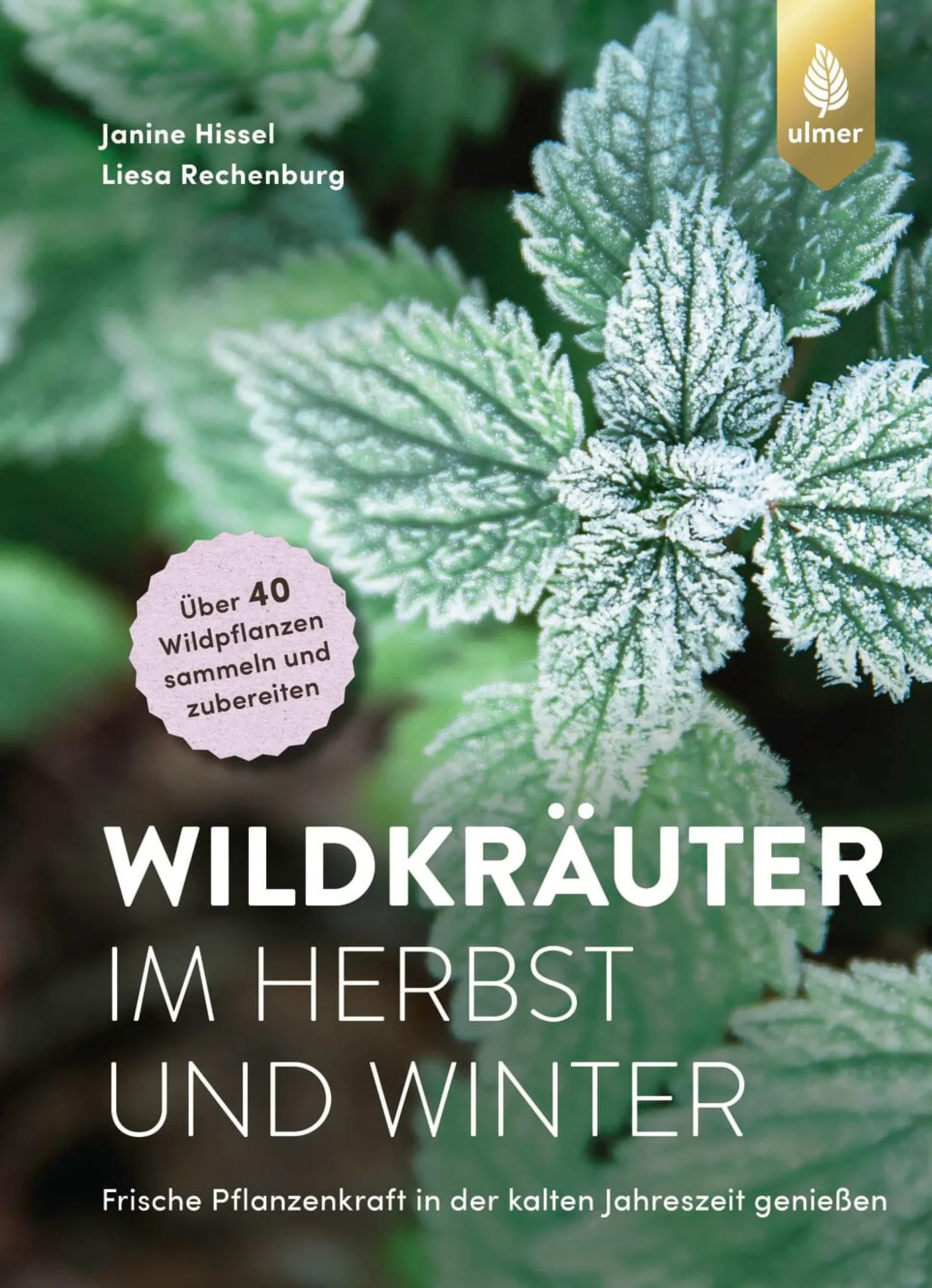 Wildkräuter im Herbst und Winter
