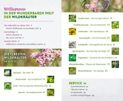 Wild und wunderbar: die 13 besten Wildkräuter