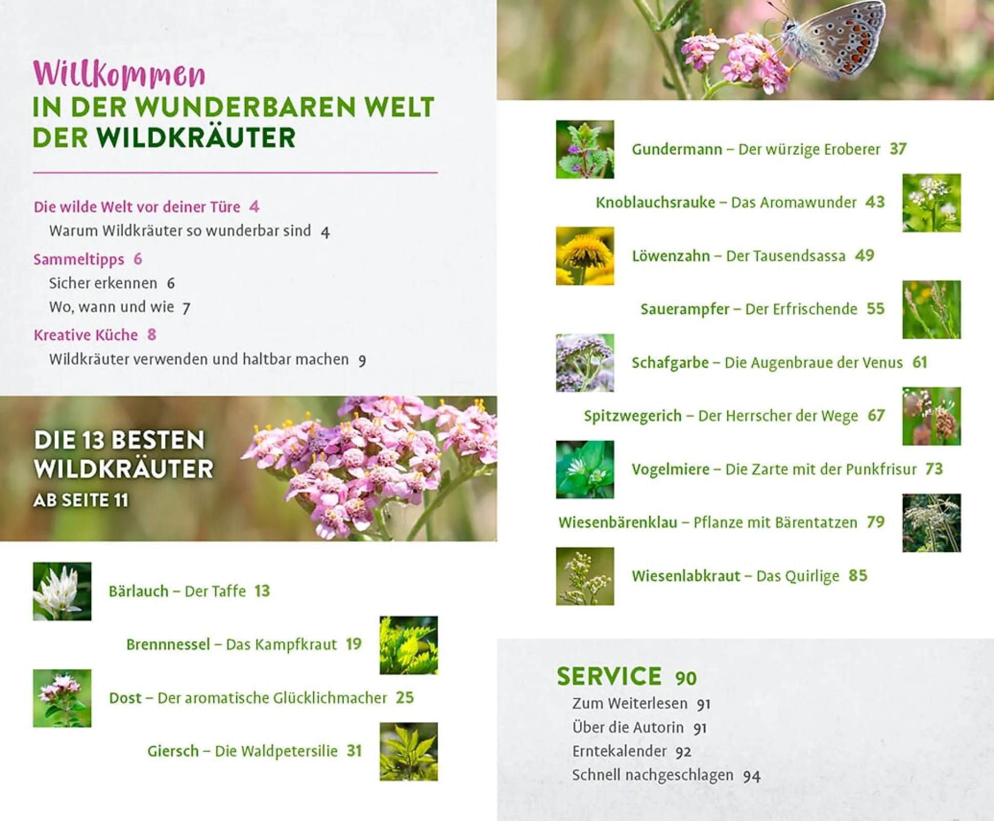 Wild und wunderbar: die 13 besten Wildkräuter