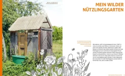 Wo die wilden Nützlinge wohnen